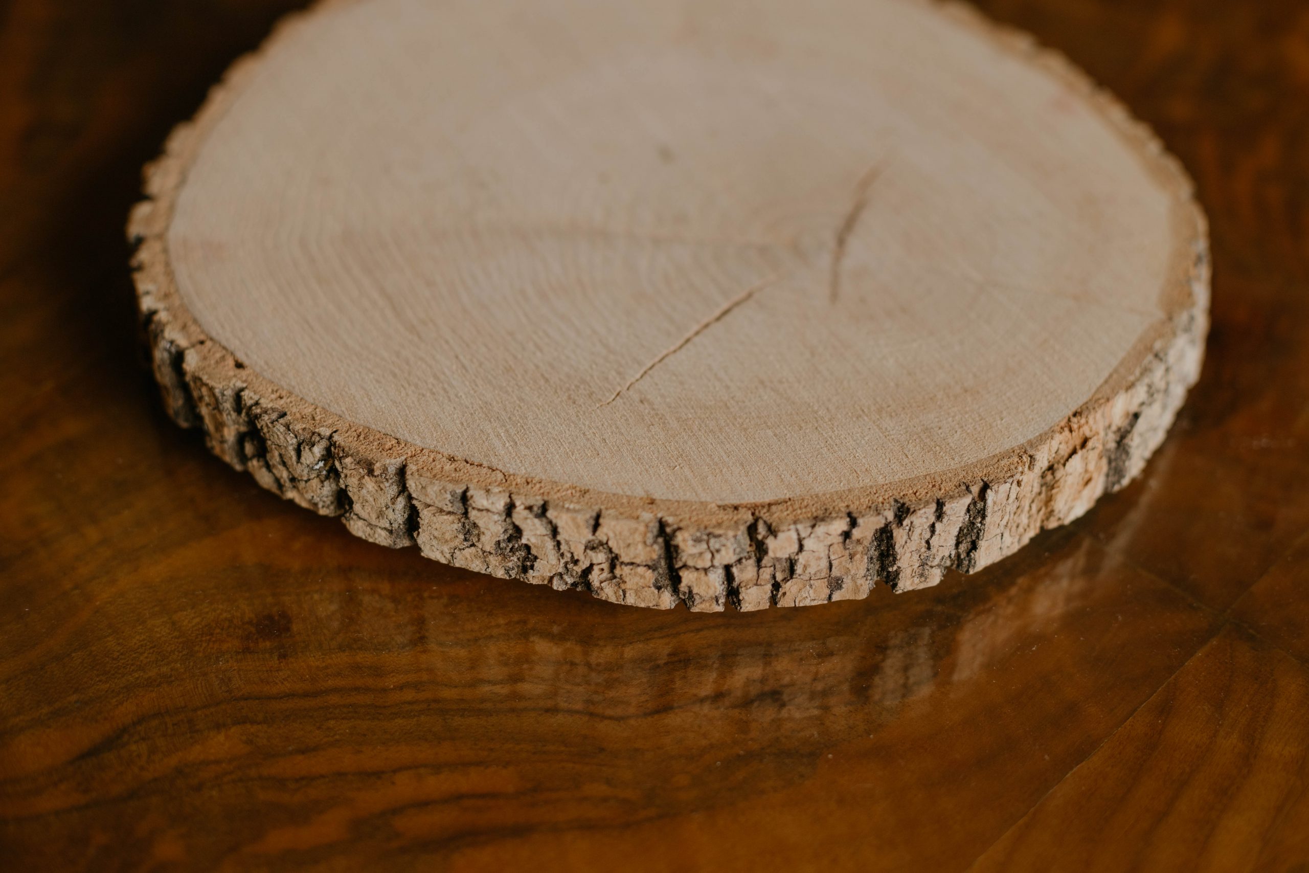 Marcasitios rodaja madera personalizados (Pack 5 y 10 uds) • Patodalavida